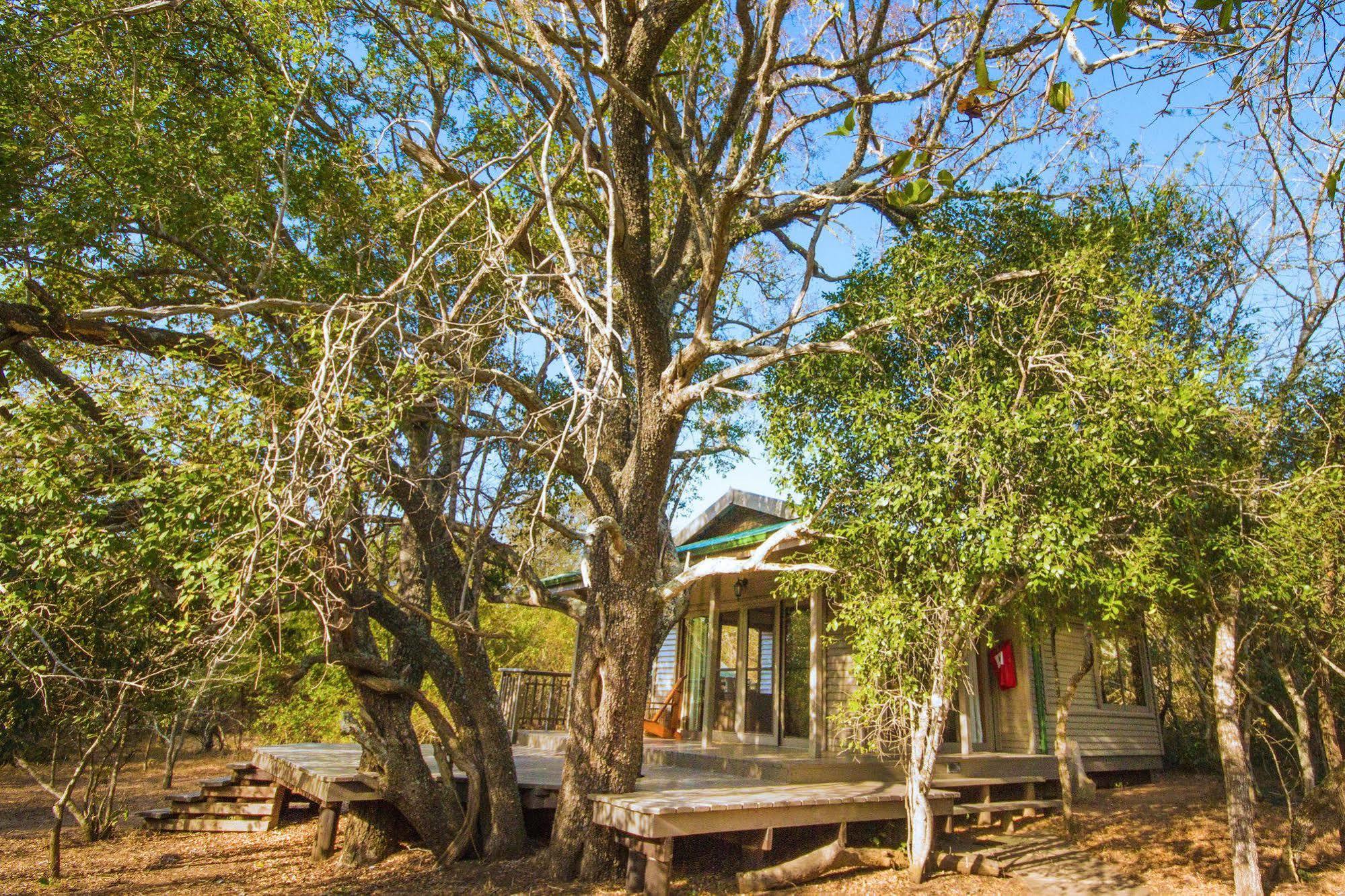 Villa Thornwood Hluhluwe Esterno foto